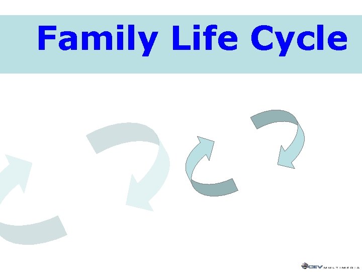 Family Life Cycle Family Life Cycle