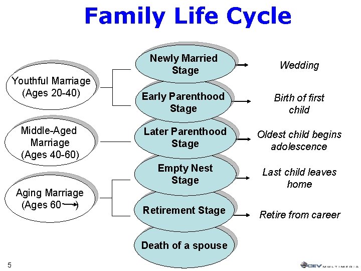 Family Life Cycle Youthful Marriage (Ages 20 -40) Middle-Aged Marriage (Ages 40 -60) Aging Family Life Cycle Youthful Marriage (Ages 20 -40) Middle-Aged Marriage (Ages 40 -60) Aging