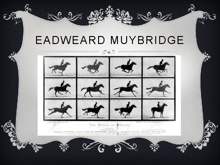 EADWEARD MUYBRIDGE 