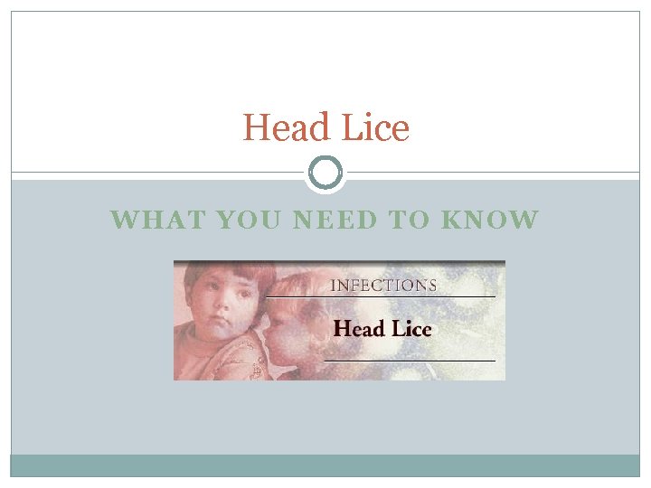 Head Lice WHAT YOU NEED TO KNOW 