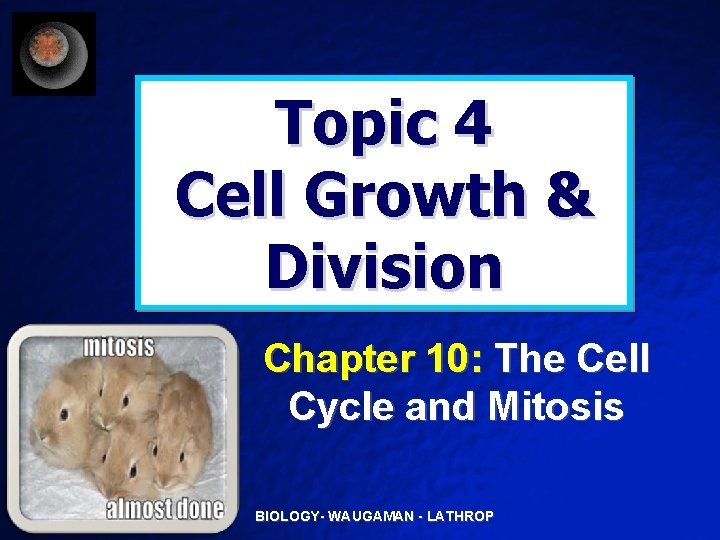 Topic 4 Cell Growth & Division Chapter 10: The Cell Cycle and Mitosis BIOLOGY-