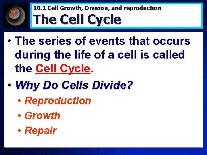 10. 1 Cell Growth, Division, and reproduction The Cell Cycle • The series of