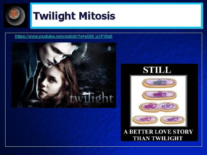 Twilight Mitosis • https: //www. youtube. com/watch/? v=s. OM_u 1 PY 0 s 0