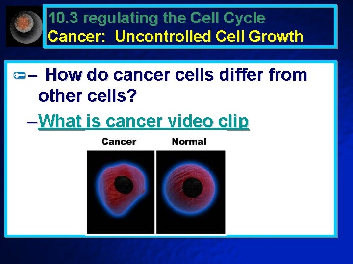 10. 3 regulating the Cell Cycle Cancer: Uncontrolled Cell Growth – How do cancer
