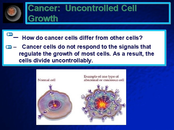 Cancer: Uncontrolled Cell Growth – How do cancer cells differ from other cells? –