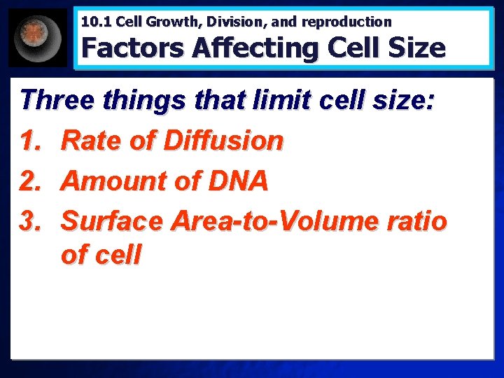 10. 1 Cell Growth, Division, and reproduction Factors Affecting Cell Size Three things that