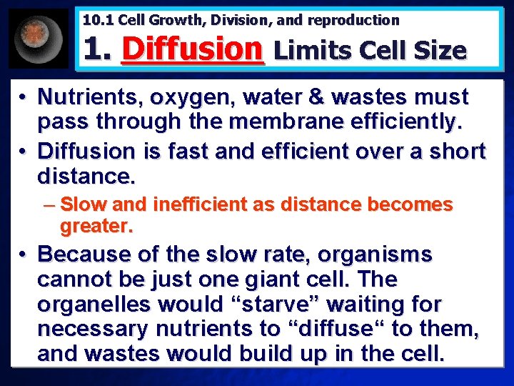 10. 1 Cell Growth, Division, and reproduction 1. Diffusion Limits Cell Size • Nutrients,