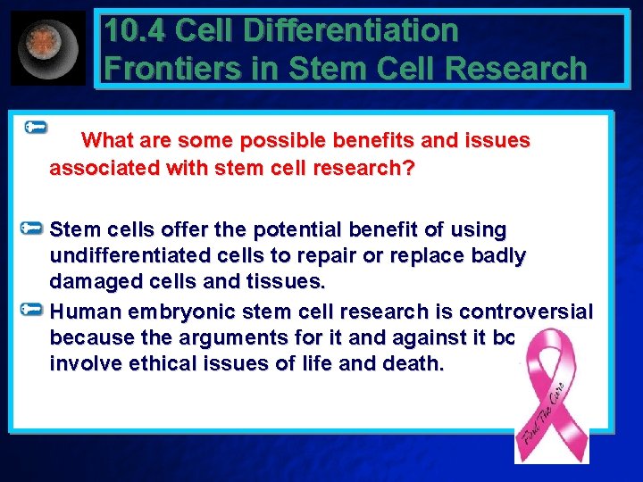 10. 4 Cell Differentiation Frontiers in Stem Cell Research What are some possible benefits