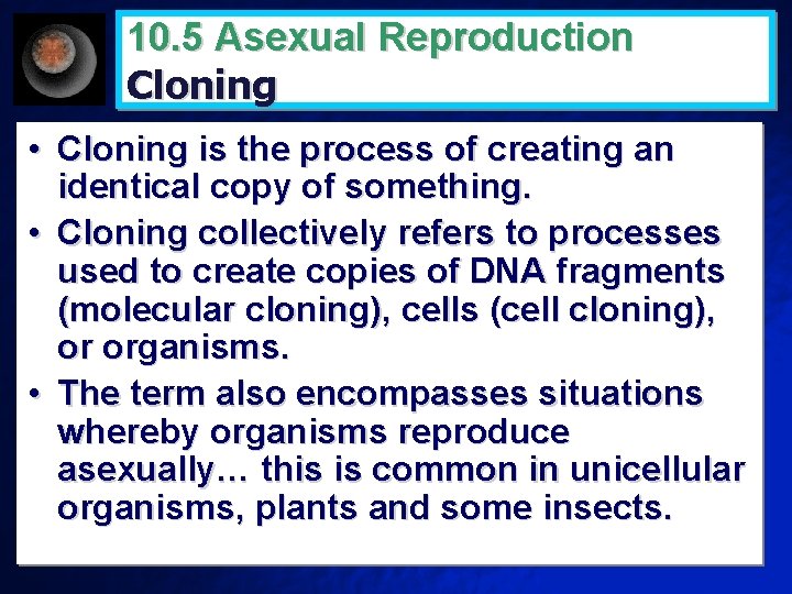 10. 5 Asexual Reproduction Cloning • Cloning is the process of creating an identical