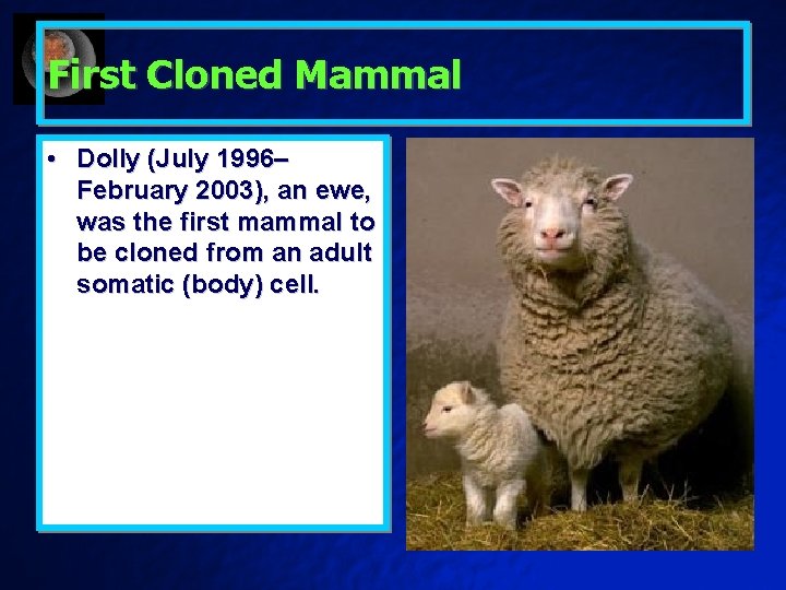 First Cloned Mammal • Dolly (July 1996– February 2003), an ewe, was the first
