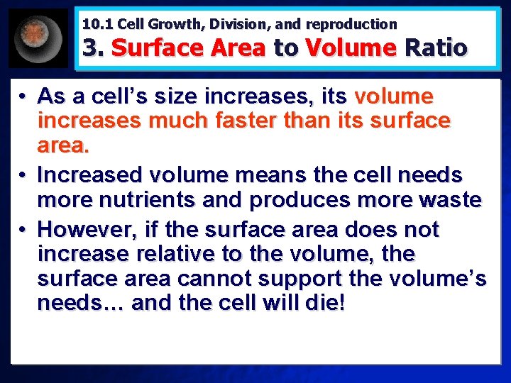 10. 1 Cell Growth, Division, and reproduction 3. Surface Area to Volume Ratio •