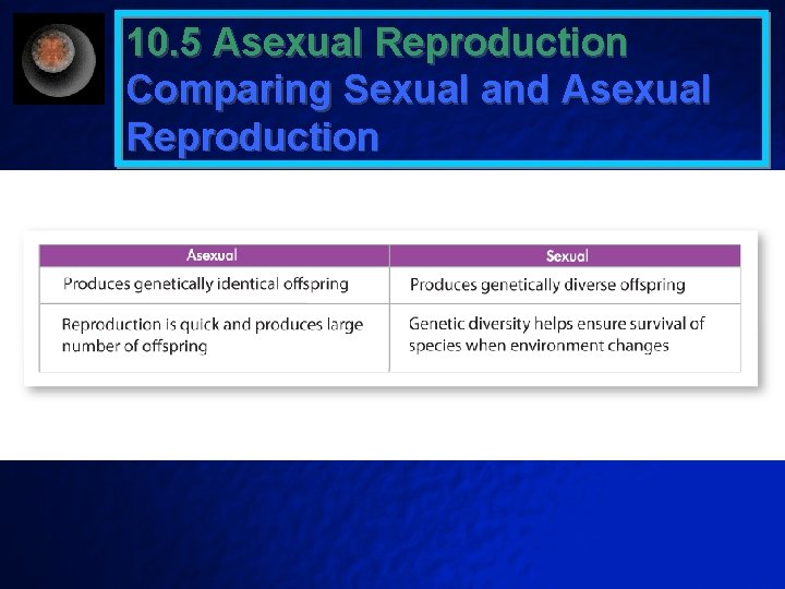 10. 5 Asexual Reproduction Comparing Sexual and Asexual Reproduction 