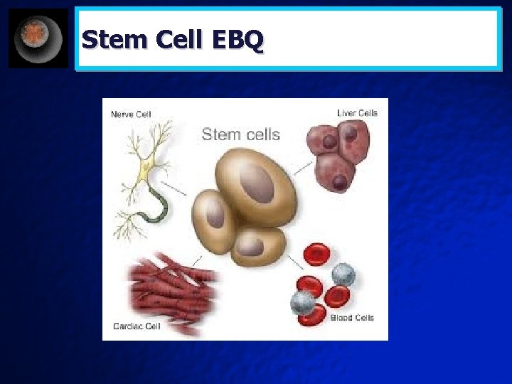 Stem Cell EBQ 