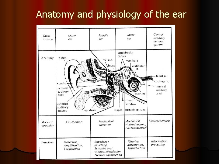 Anatomy and physiology of the ear 
