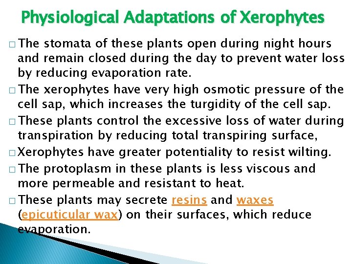 Physiological Adaptations of Xerophytes � The stomata of these plants open during night hours