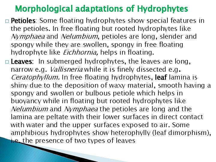 Morphological adaptations of Hydrophytes Petioles: Some floating hydrophytes show special features in the petioles.