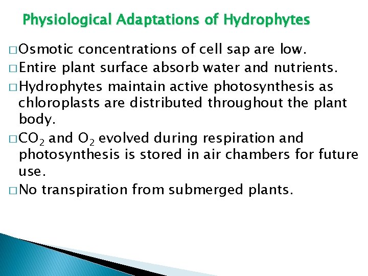 Physiological Adaptations of Hydrophytes � Osmotic concentrations of cell sap are low. � Entire