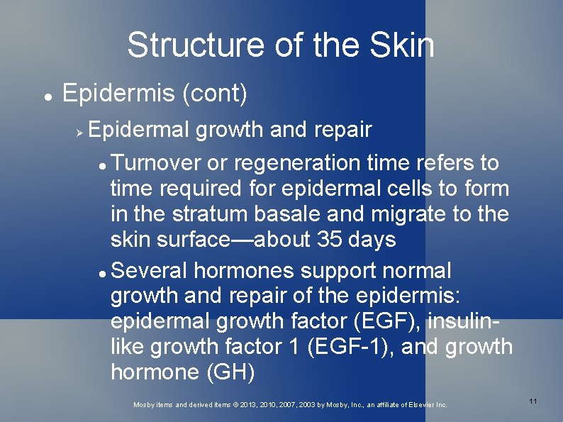 Structure of the Skin Epidermis (cont) Epidermal growth and repair Turnover or regeneration time