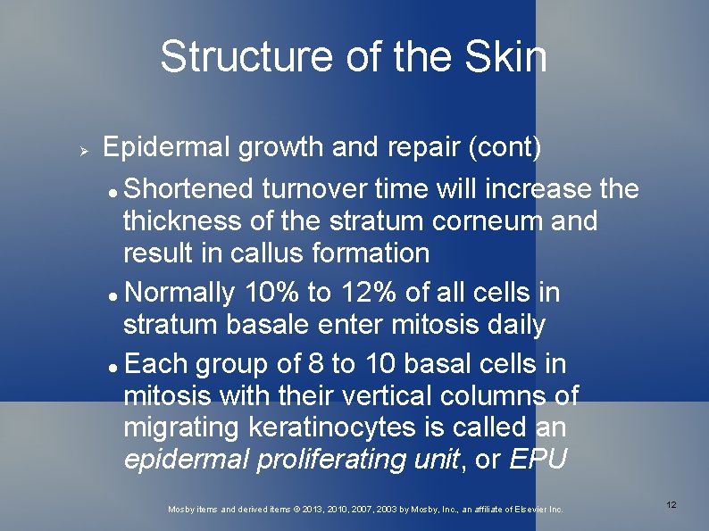 Structure of the Skin Epidermal growth and repair (cont) Shortened turnover time will increase