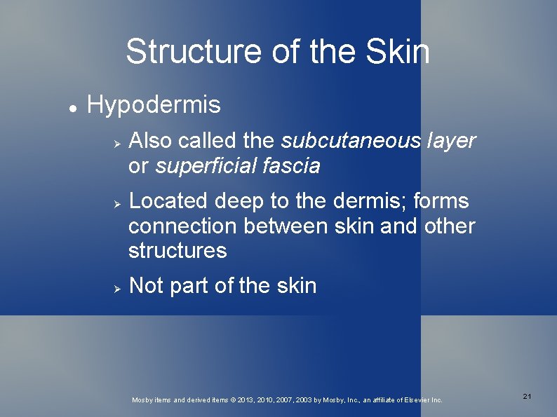 Structure of the Skin Hypodermis Also called the subcutaneous layer or superficial fascia Located