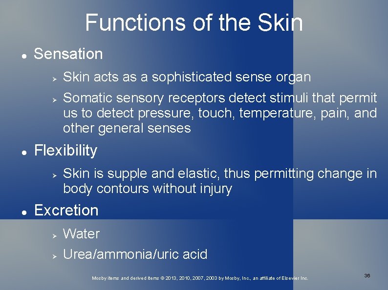 Functions of the Skin Sensation Somatic sensory receptors detect stimuli that permit us to