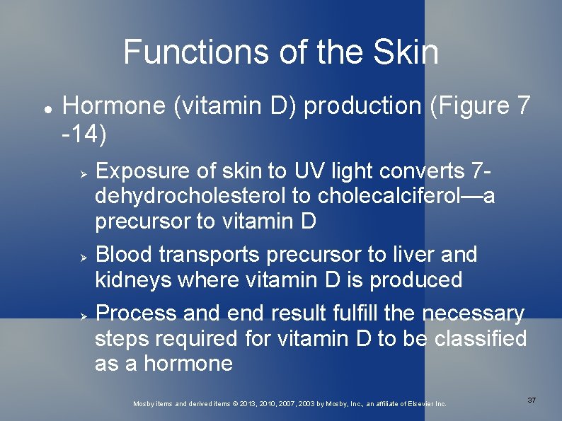 Functions of the Skin Hormone (vitamin D) production (Figure 7 -14) Exposure of skin