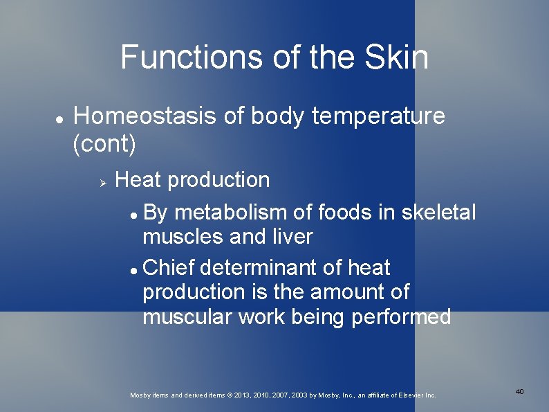 Functions of the Skin Homeostasis of body temperature (cont) Heat production By metabolism of