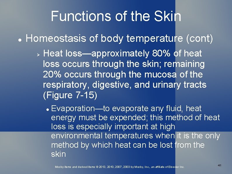 Functions of the Skin Homeostasis of body temperature (cont) Heat loss—approximately 80% of heat