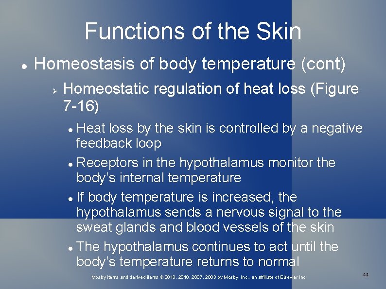 Functions of the Skin Homeostasis of body temperature (cont) Homeostatic regulation of heat loss