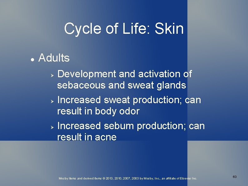Cycle of Life: Skin Adults Development and activation of sebaceous and sweat glands Increased