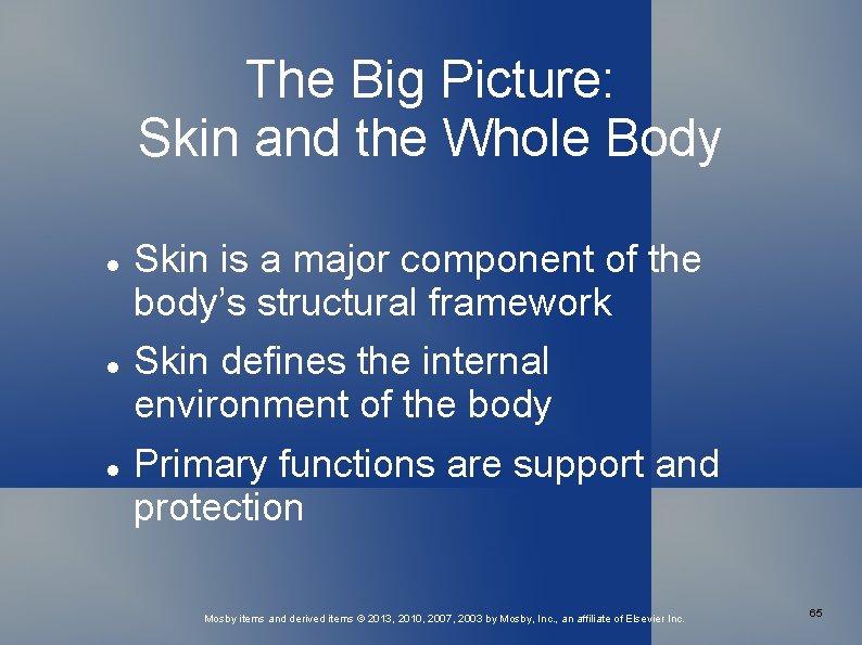 The Big Picture: Skin and the Whole Body Skin is a major component of