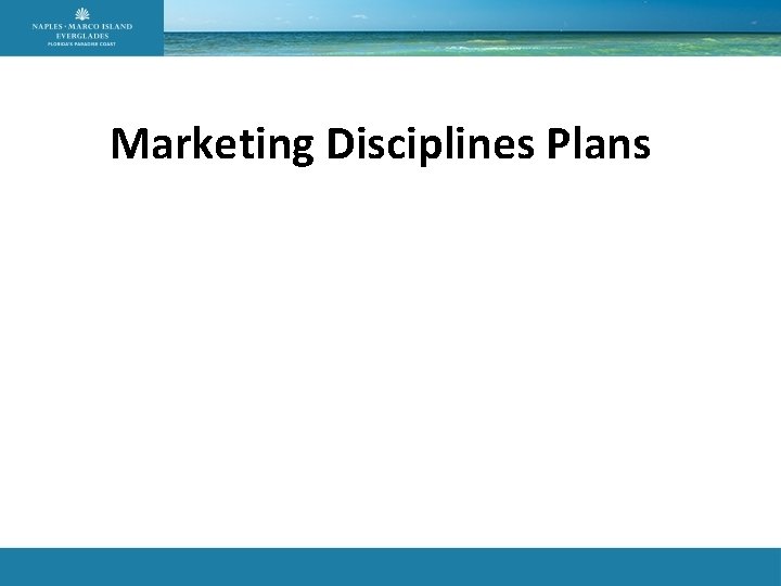 Marketing Disciplines Plans 