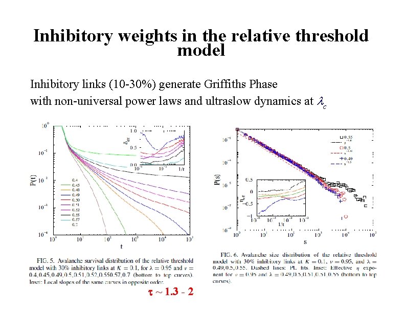 Inhibitory weights in the relative threshold model Inhibitory links (10 -30%) generate Griffiths Phase