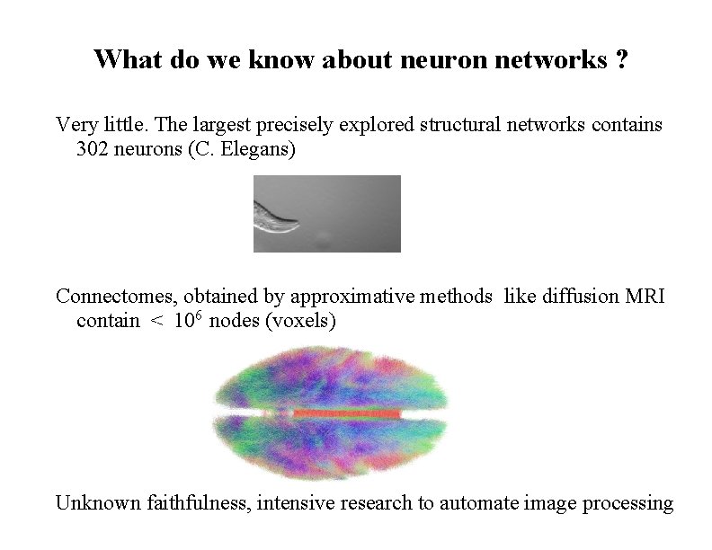 What do we know about neuron networks ? Very little. The largest precisely explored