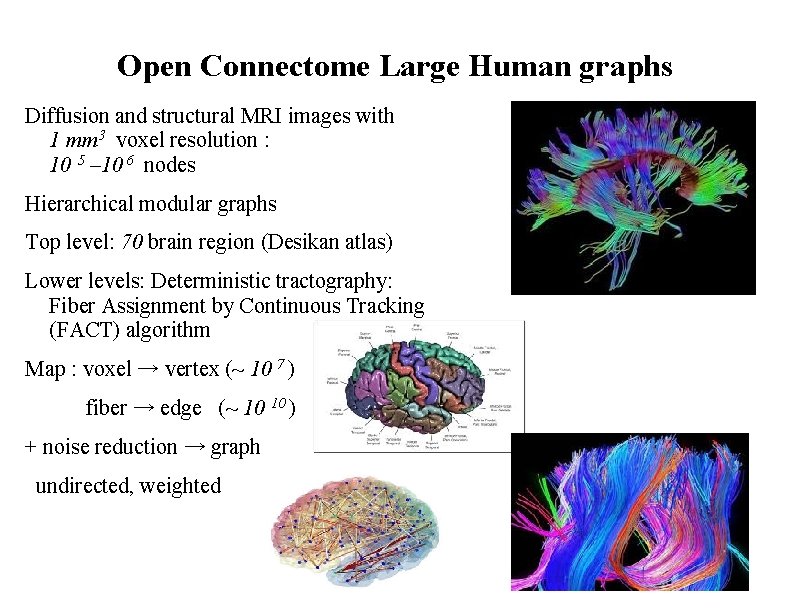 Open Connectome Large Human graphs Diffusion and structural MRI images with 1 mm 3