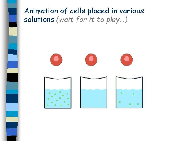 Animation of cells placed in various solutions (wait for it to play…) 