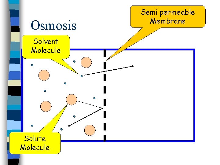 Osmosis Solvent Molecule Solute Molecule Semi permeable Membrane 