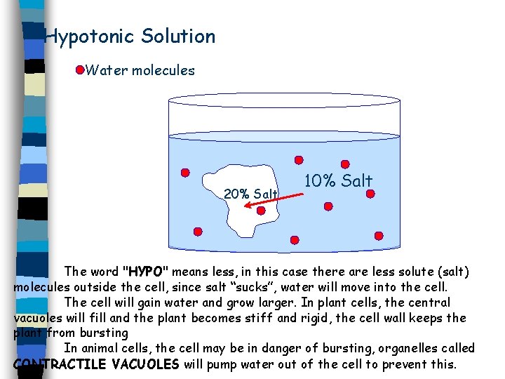 Hypotonic Solution Water molecules 20% Salt 10% Salt The word "HYPO" means less, in