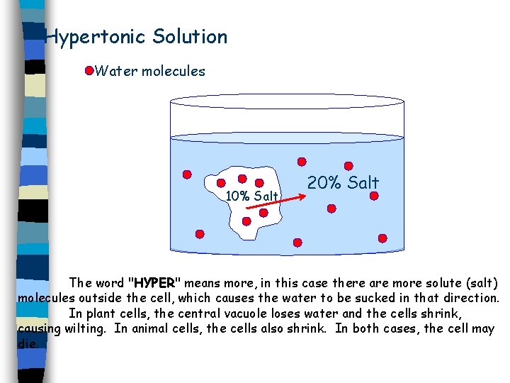 Hypertonic Solution Water molecules 10% Salt 20% Salt The word "HYPER" means more, in