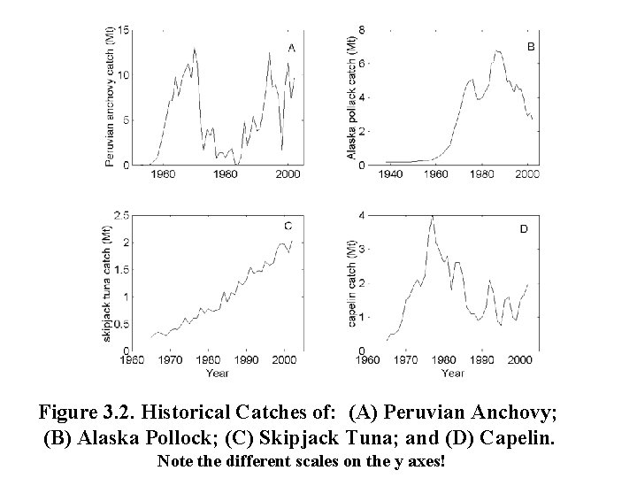 Figure 3. 2. Historical Catches of: (A) Peruvian Anchovy; (B) Alaska Pollock; (C) Skipjack