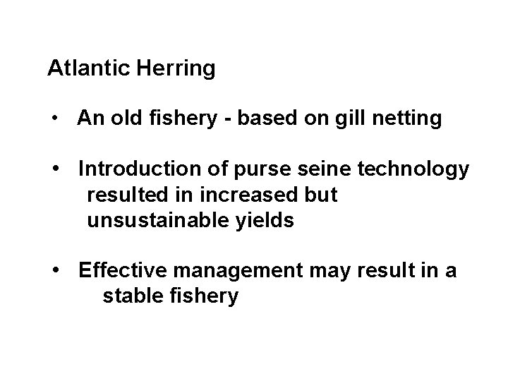 Atlantic Herring • An old fishery - based on gill netting • Introduction of