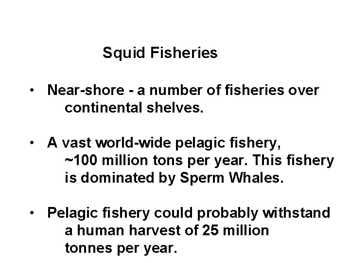 Squid Fisheries • Near-shore - a number of fisheries over continental shelves. • A