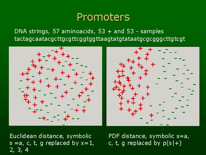 Promoters DNA strings, 57 aminoacids, 53 + and 53 - samples tactagcaatacgcttgcgttcggtggttaagtataatgcgcgggcttgtcgt Euclidean distance,