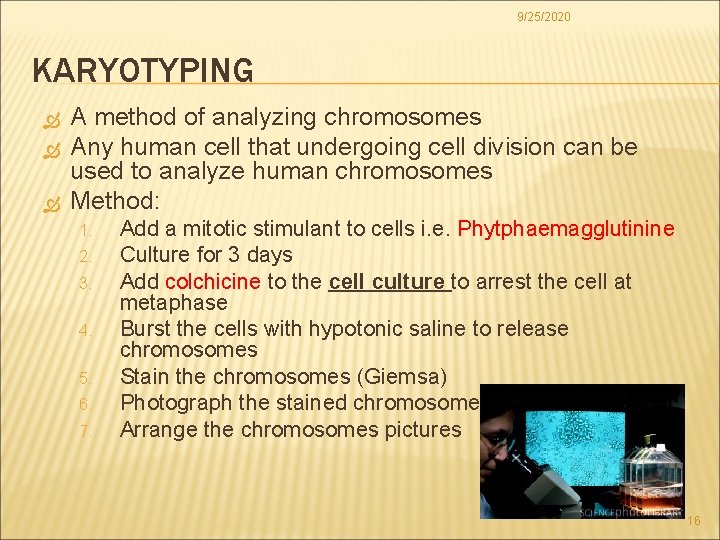 9/25/2020 KARYOTYPING A method of analyzing chromosomes Any human cell that undergoing cell division