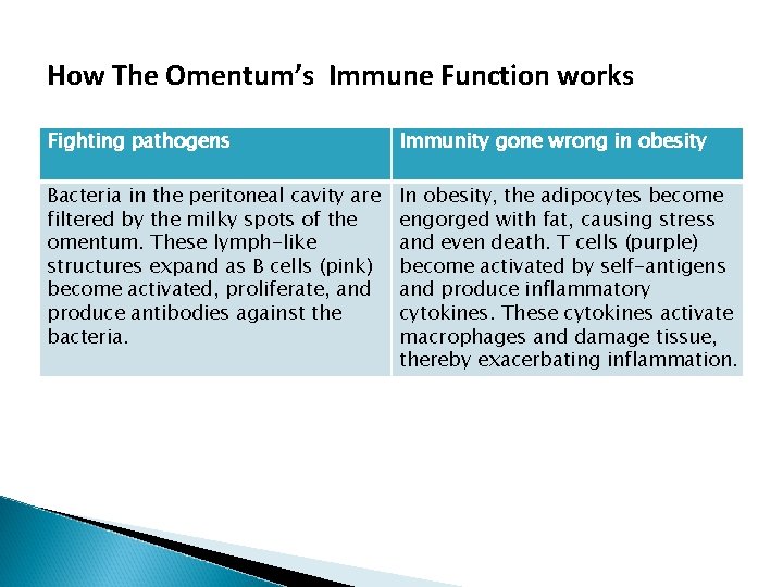 How The Omentum’s Immune Function works Fighting pathogens Immunity gone wrong in obesity Bacteria How The Omentum’s Immune Function works Fighting pathogens Immunity gone wrong in obesity Bacteria