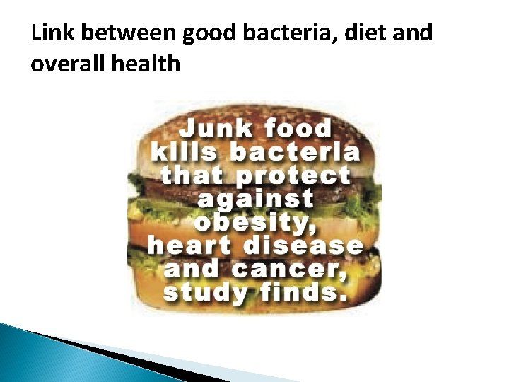 Link between good bacteria, diet and overall health Link between good bacteria, diet and overall health