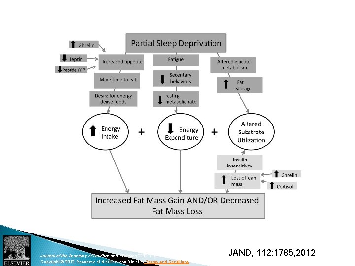 Figure JAND, 112: 1785, 2012 Journal of the Academy of Nutrition and Dietetics 2012 Figure JAND, 112: 1785, 2012 Journal of the Academy of Nutrition and Dietetics 2012