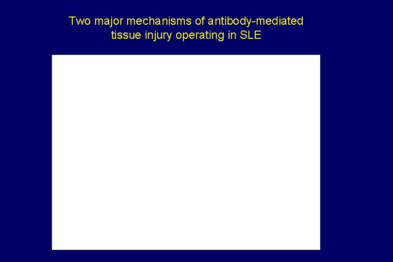 Two major mechanisms of antibody-mediated tissue injury operating in SLE 