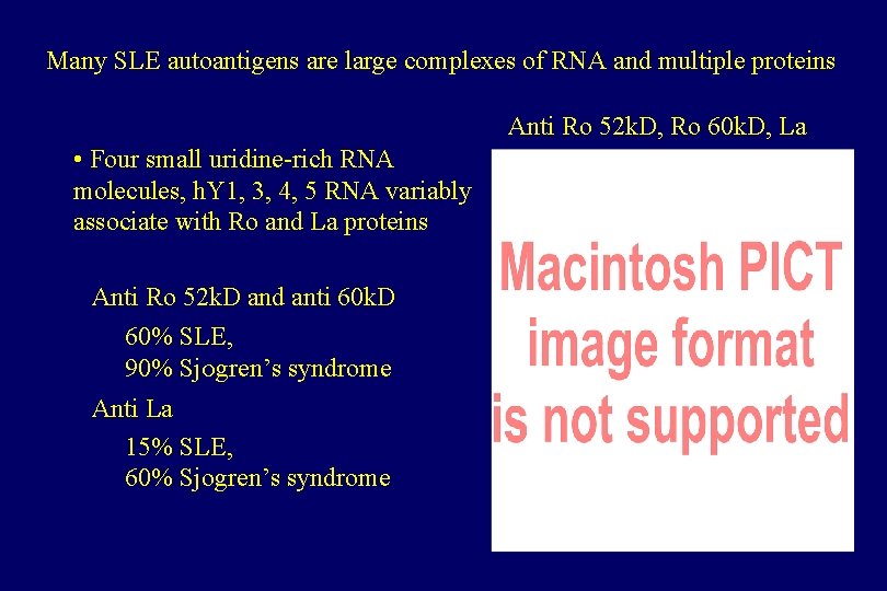 Many SLE autoantigens are large complexes of RNA and multiple proteins Anti Ro 52