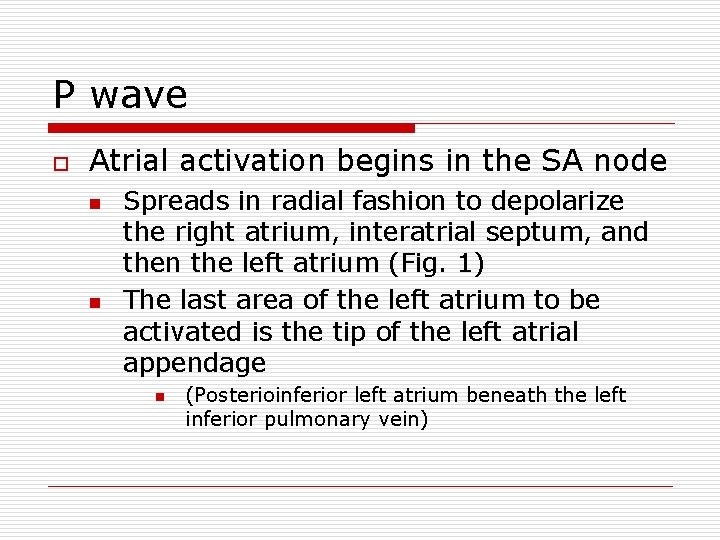 P wave o Atrial activation begins in the SA node n n Spreads in